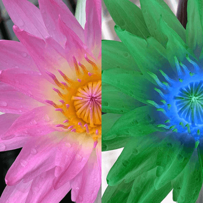 Image output for example 4